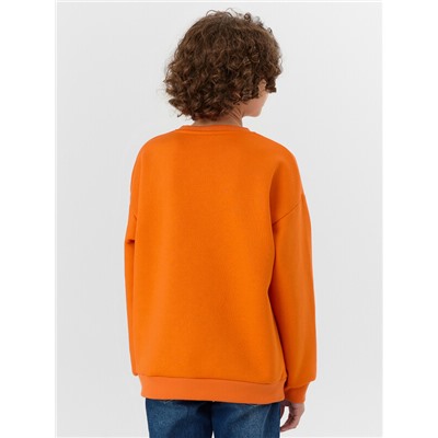 СВИТШОТ ДЛЯ МАЛЬЧИКОВ 123447