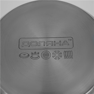 Кастрюля Доляна «Вернер», 3.5 л, d=20 см, с крышкой, капсульное дно, нержавеющая сталь, индукция