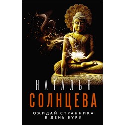 АСТ Наталья Солнцева "Ожидай странника в день бури"