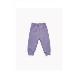 Брюки футер начёс Cat 20550