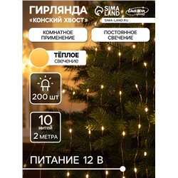 Гирлянда «Конский хвост» 10 нитей по 2 м, IP20, медная нить, 200 LED, свечение тёплое белое, 12 В