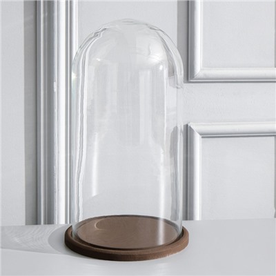 Стеклянный купол-клош на деревянной подставке «Венсан», 30×15 см, коричневый
