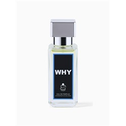 Парфюмерная вода мужская Milestone WHY, 35 мл