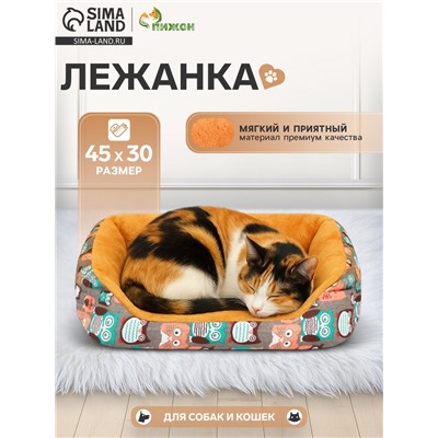 Лежанка для животных + ротанговый коврик, 45×30×15 см, бежево-серая