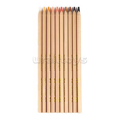 Карандаши цветные 10 цв. "Triolino Ultra 4М. Skin Tones" (оттенки цвета кожи) супер мягкий грифель на масляной основе, диаметр грифеля 4 мм, трехгранные, в картонной коробке