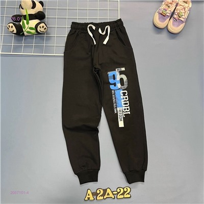 штаны 2057101-4