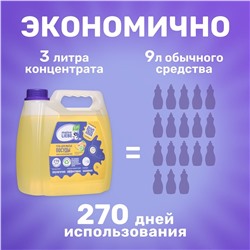 Гель для мытья посуды "Манго и освежающий лайм",концентрат, 3 л канистра,MEINE LIEBE