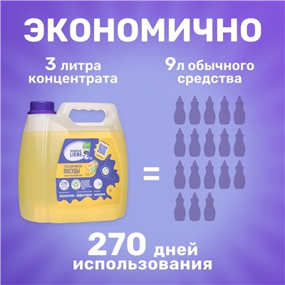 Гель для мытья посуды "Манго и освежающий лайм",концентрат, 3 л канистра,MEINE LIEBE