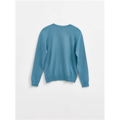 Джемпер для мальчика ESLI 16С-32СП Джемпер для мальчиков