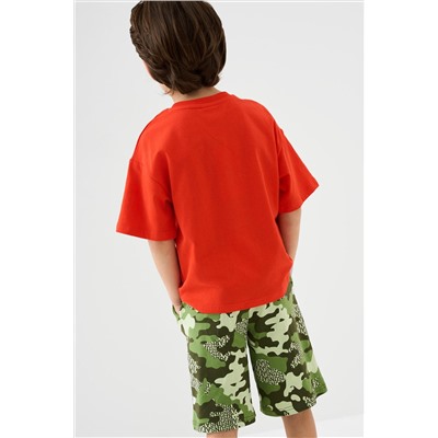 Шорты трикотажные для мальчиков, 2 шт в комплекте PLAYTODAY, 1239797