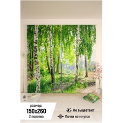 Фотошторы 10839 (Зеленый)