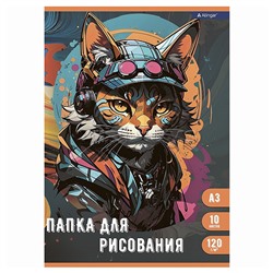 Папка для рисования А3 10л., цветная обложка, 120 г/м2,"Модный кот"