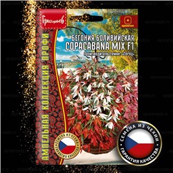 Бегония Копакабана микс F1 - Copacabana Mix боливийская (Редкие)