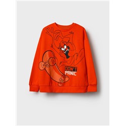 PLAYTODAY Толстовка 12611163