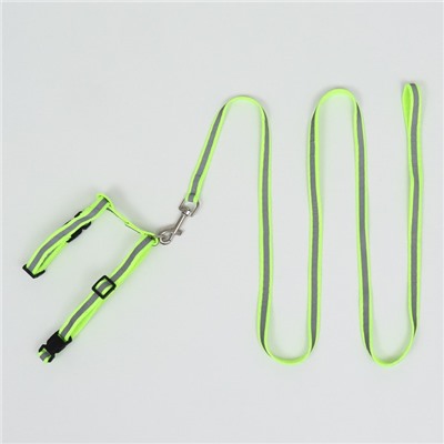 Комплект для кошек светоотражающий, ширина 1 см, шлейка 21-35 см, поводок 120 см, зелёный