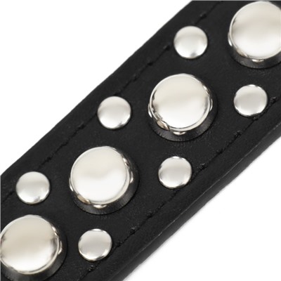 Ошейник «Сириус», 56×3 см, ОШ 42-52, с заклёпками, искусственная кожа, чёрный