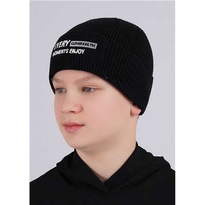 452519 CLEVER Шапка