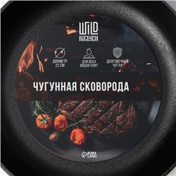 Сковорода Wild Kitchen, d=22 см, съёмная ручка, ндукция, чугун, чёрная