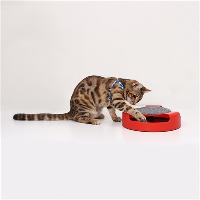 Игровой комплекс «Пижон» с подвижной мышкой, красный