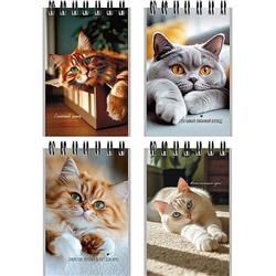 Блокнот на спирали А7 40л клетка "МИЛЫЕ КОТЫ - 3" Б40-9336 Проф-Пресс