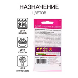 Семена цветов Пеларгония "Пинто Скарлет Стар", F1, 4 шт