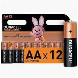 Батарейка DURACELL BASIC АА 1.5V/LR06 (12 шт.) (Щелочной элемент питания)