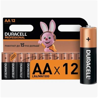 Батарейка DURACELL BASIC АА 1.5V/LR06 (12 шт.) (Щелочной элемент питания)