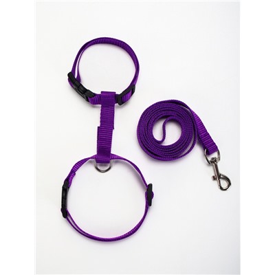 Комплект для кошек, ширина 1.5 см, ОШ 16.5-27 см, ОГ 21-35 см, поводок 120 см, фиолетовый