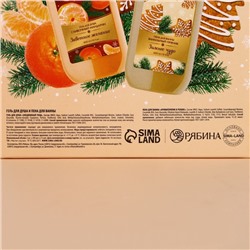 Подарочный набор новогодний «Зимнее чудо»: гель для душа и пена для ванны, 2×300 мл, URAL LAB