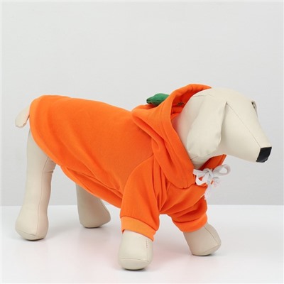 Толстовка «Любимая морковка», размер M (ДС 30, ОГ 44 см)