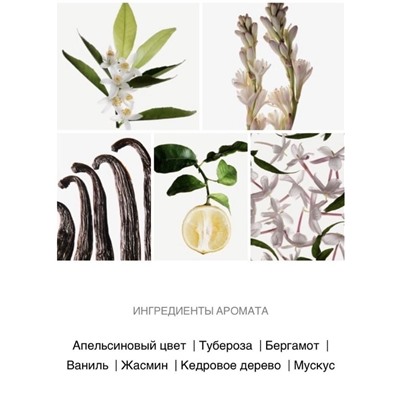 Духи #23317469