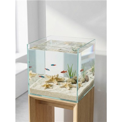 Набор из 3 морских звезд, размер 5-7 см, 7-10 см, 10-12 см, белый