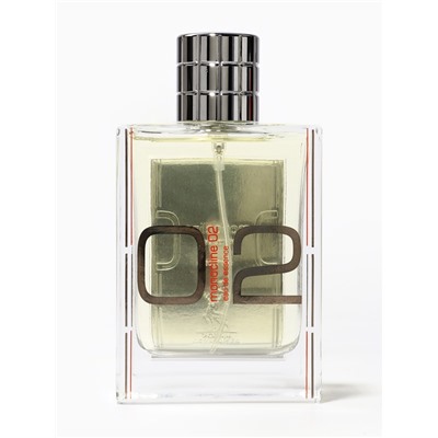 Парфюмерная вода MONOCLINE 02 мужская, 100 мл (по мотивам Molecule 02)