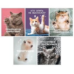 Тетрадь  80л клетка на спирали "Подкрадули" ТСЛ808828 Listoff