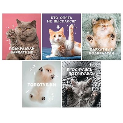 Тетрадь  80л клетка на спирали "Подкрадули" ТСЛ808828 Listoff