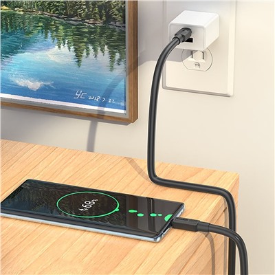 Кабель Type-C - Type-C Hoco X84 Solid PD 60W 100см 3A  (black)