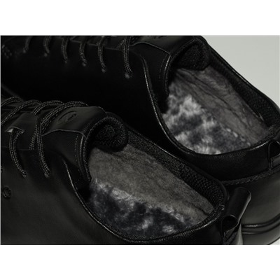 Зимние Кроссовки Ecco Biom