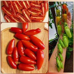 7166Т Томат Дебослив 5шт