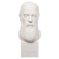 Гипсовая фигура известные люди: Бюст Салтыкова-Щедрина 20×9.5×10.5 см