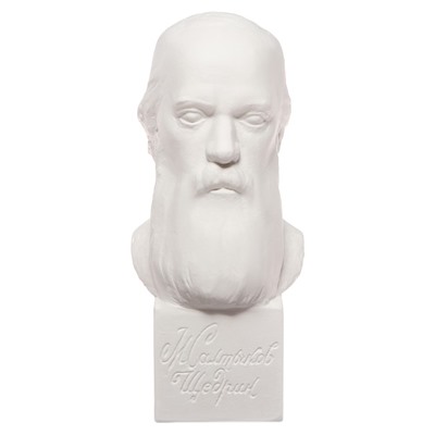 Гипсовая фигура известные люди: Бюст Салтыкова-Щедрина 20×9.5×10.5 см