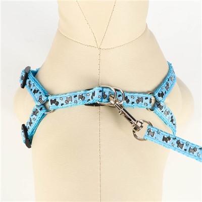 Комплект «Собачки», ширина 1 см, поводок 1.2 м, шлейка 23-35 см, голубой