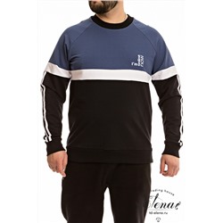 Толстовка М12120Пб