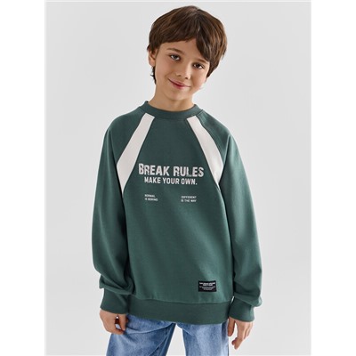 СВИТШОТ ДЛЯ МАЛЬЧИКОВ 123500