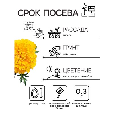 Семена цветов Бархатцы прямостоячие «Лимонное чудо», 0.3 г