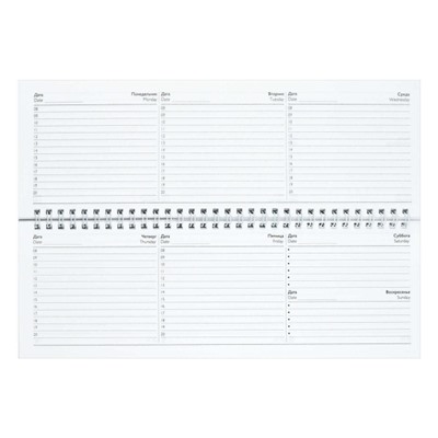 Планинг недатированный на спирали 290х100 мм 128стр. "ТРИКОЛОР" 71588 Феникс