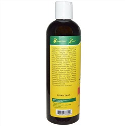 Organix South, TheraNeem Naturals, Scalp Therapé – состав для кожи головы, шампунь, 360 мл (12 жидких унций)