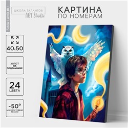 Картина по номерам на холсте с подрамником «Волшебство рядом», 40×50 см