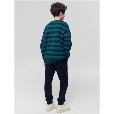 СВИТШОТ ДЛЯ МАЛЬЧИКОВ 123437/1