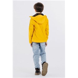 AL7833 кор Ботинки деми для мальчиков (32-37)/6