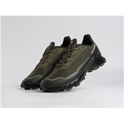 Кроссовки Salomon Alphacross 5 GTX